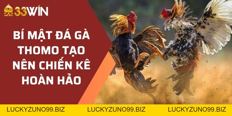 Document - LUCKYZUNO99.BIZ