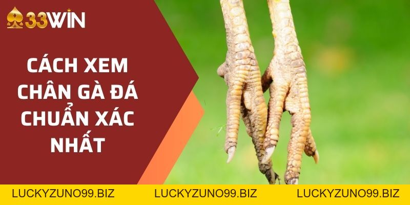 Document - LUCKYZUNO99.BIZ