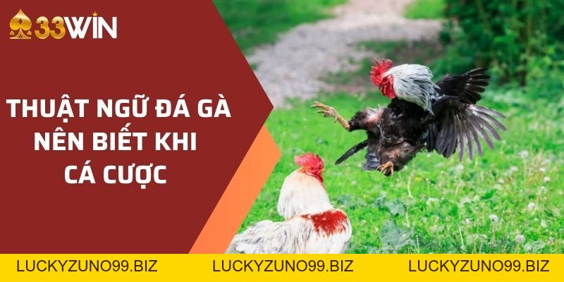 Document - LUCKYZUNO99.BIZ